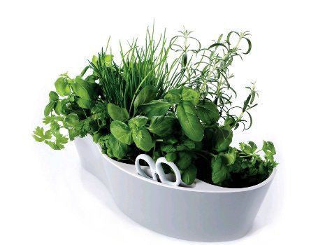 Herb Garden
